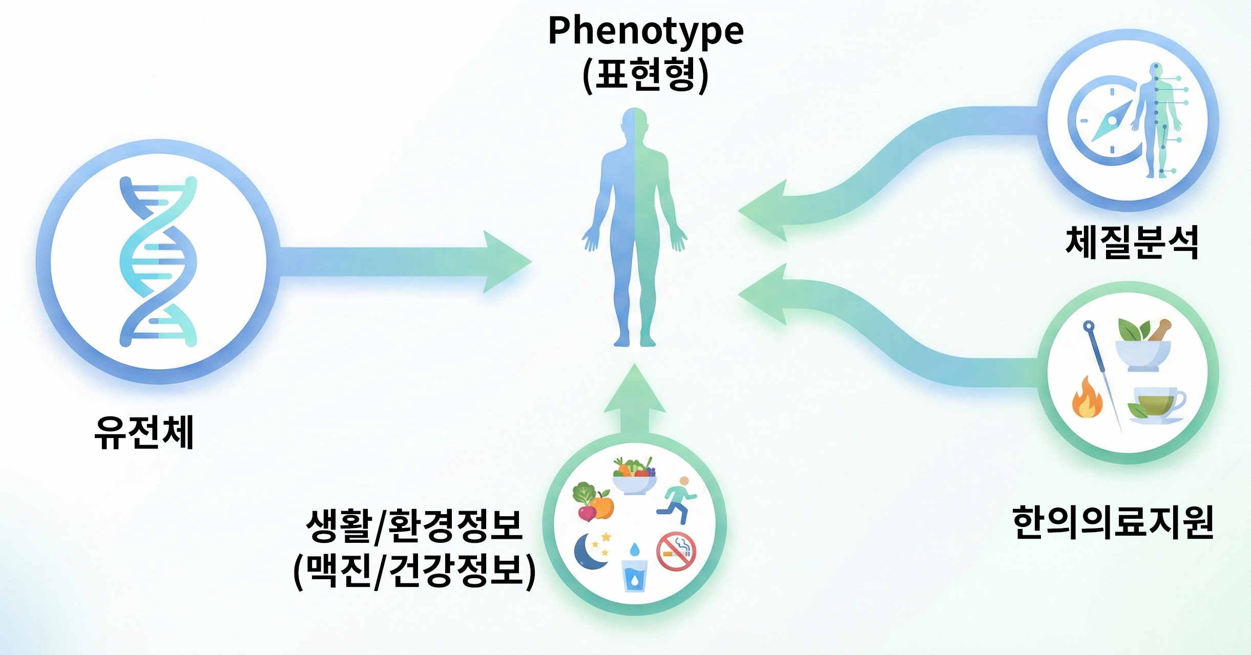 건강플랫폼 개발