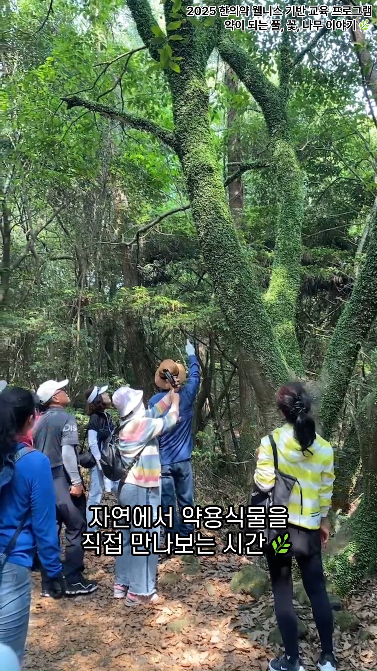 2025년 한의약 웰니스 기반 교육 프로그램이
6주간의 여정을 마무리했습니다😊

한약재의 기초 이론부터
제주 자생 약용식물을 직접 관찰하는 현장 교육까지!
배우고, 느끼고, 함께한 소중한 시간들이었습니다.

앞으로도 제주한의약연구원은
도민과 함께하는 실용적인 한의약 교육을 통해
건강한 삶과 웰니스 산업의 가치를 널리 전하겠습니다.

#제주한의약연구원 #한의약웰니스 #약초교실 #도민교육 #한의약자원 #약용식물 #동백동산 #덩굴원 #현장견학 #제주도민 #제주도민과함께