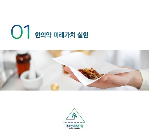 1️⃣ 한의약 미래가치 실현

1. 제주 한의약자원 기능성 유용소재 발굴 및 확보
2. 제주 한의약소재 효능 검증 및 상용화 기술 개발
3. 제주한의약연구원 연구인프라 활용 지원

#제주한의약연구원